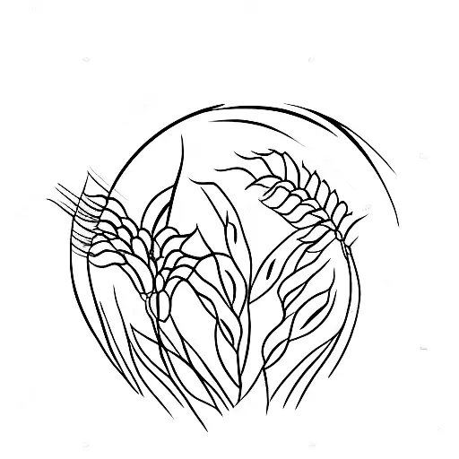 wheat with a sunset in the background tattoo design idea