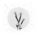 wheat with a sunset in the background tattoo design idea