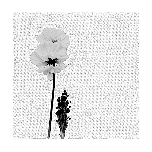 bunch of flowers; Yellow Trumpet flower, Thistle flower, Limonium flower, Jasmine flower, The carnation flower and tulip tattoo design idea