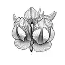 violet and iris  tattoo design idea
