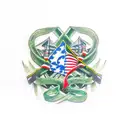 green cancer ribbon Vietnam war veteran  tattoo design idea
