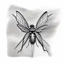 Cicada  tattoo design idea