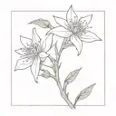 Edelweiss blossom in the middle on a long line min n on one side and s on the other side tattoo design idea