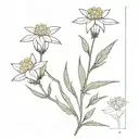 Edelweiss blossom in the middle on a long line min n on one side and s on the other side tattoo design idea