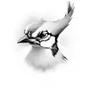 bluejay bird tattoo design idea