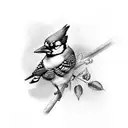 bluejay bird tattoo design idea