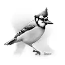 bluejay bird tattoo design idea