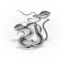 Two Snakes Facing One another tattoo design idea