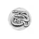 Two Snakes Facing One another tattoo design idea
