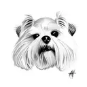 Dog Maltese  tattoo design idea