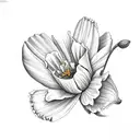 lily daffodil poppy marigold tattoo design idea
