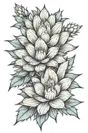 agave plant tattoo design idea