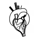 anatomy heart tattoo design idea