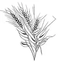 wheat grain tattoo design idea