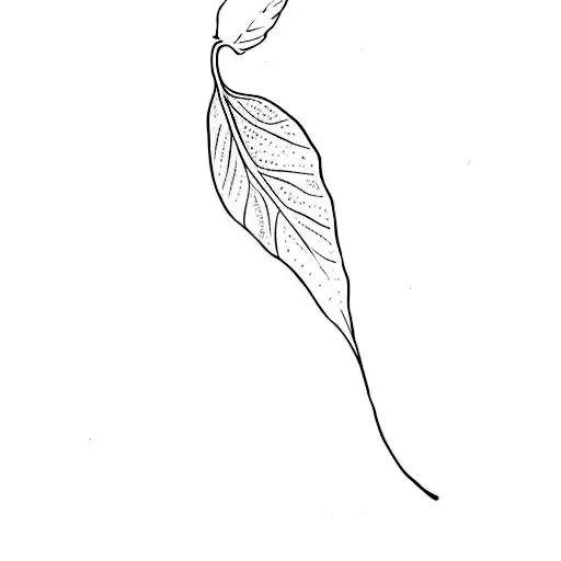 a leaf on a black background tattoo design idea
