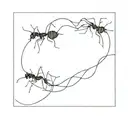 ant and sine wave tattoo design idea