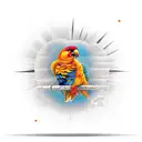 sun conure in lesther jacket riding harley motorcycle tattoo design idea