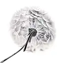 Dandelion tattoo design idea