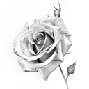Irish rose  tattoo design idea