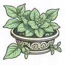 potted jade plant (crassula ovata) tattoo design idea
