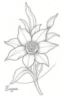 Daffodil with name Eva, intertwined within tattoo design idea