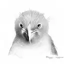 kiwi tattoo design idea