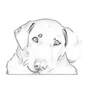 a labrador retriever tattoo design idea