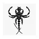 scorpio  tattoo design idea