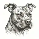 angry pitbull dog drawing tattoo design idea