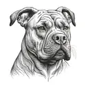 angry pitbull dog drawing tattoo design idea