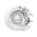 landscapes with the Uturunku volcano in Bolivia and the ocean in reference to Latin America with sea lions and turtles i tattoo design idea