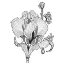 Iris flower with cursive "wisdom" tattoo design idea