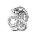 black and white snake tattoo design idea