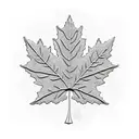 A majestic maple leaf with intricate lace-like patterns representing the fusion of Canada and the roman empire tattoo design idea