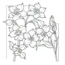 create a tattoo for my bikini line mixing the following flowers: roses, snow drops and narcissus tattoo design idea