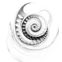 nautilus  tattoo design idea