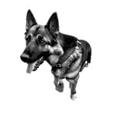 a german shepherd dog tattoo design idea