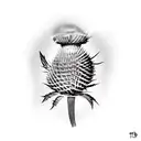scottish thistle  tattoo design idea