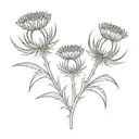3 thistles with ribbon around it tattoo design idea