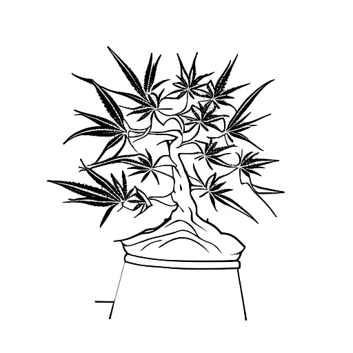 cannabis bonsai tree tattoo design idea