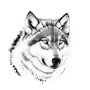 Half dog face half wolf face  tattoo design idea