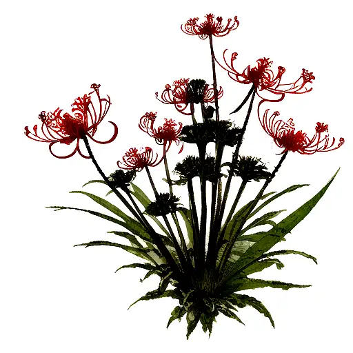 juuzou scar with spider lily flowers from it in the shoulder area tattoo design idea