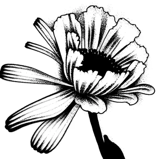 Carnation, daisy ,sweet pea, rose, Larkspur, aster, Chrysanthemum tattoo design idea