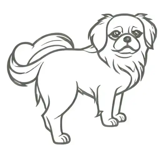 tibetan spaniel dog tattoo design idea