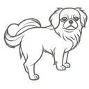 tibetan spaniel dog tattoo design idea