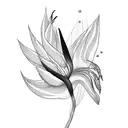 ace card with bird of paradise flower in it  tattoo design idea