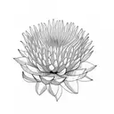 protea tattoo design idea