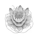 protea tattoo design idea