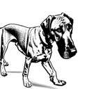 rhodesian ridgeback, line drawing, tattoo design idea