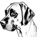 rhodesian ridgeback, line drawing, tattoo design idea